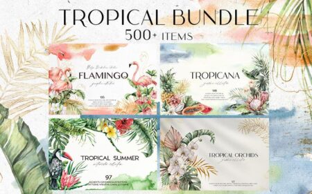 Tropical graphics Bundle