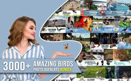 3000+ Amazing Bird Overlays Bundle Feature Image