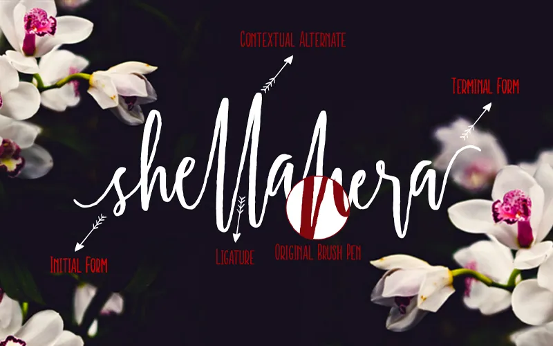 Shellahera Font Preview Text