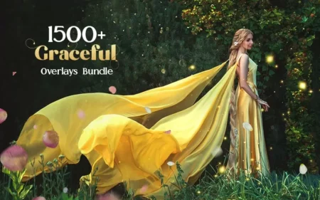 1500+ Graceful Image Overlays Bundle Feature Image