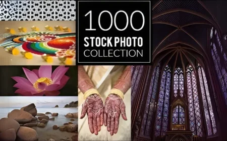 Stock Photo Collection Feature Image