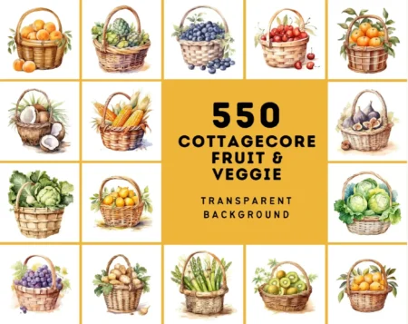 Vegetable Illustrations