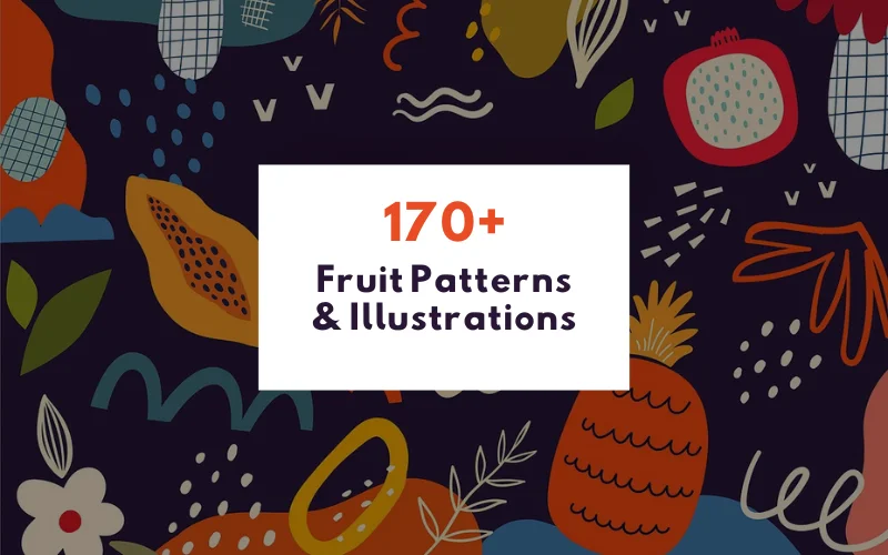 Fruit Patterns & Illustrations Bundle Feature Image