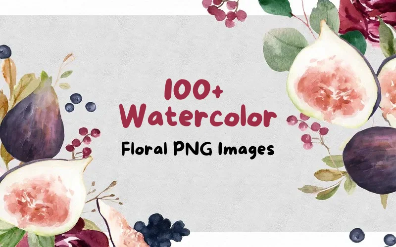 100+ Watercolor Floral PNG Images