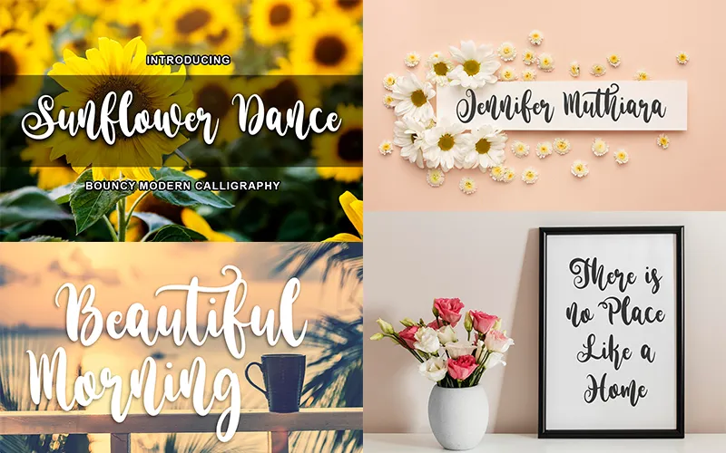 Collage of typefaces included in the bundle