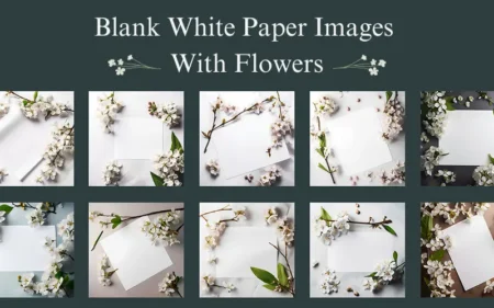 Blank White Paper Images With Flowers Bundle Feature Image