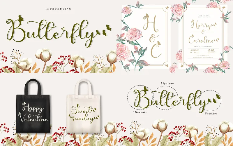 Cute Butterfly Font