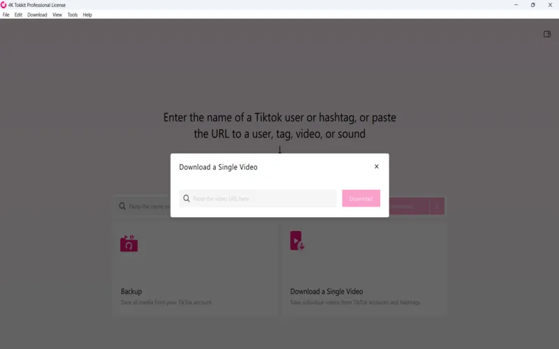 Download Single Video Feature Tiktok video downloader preview image
