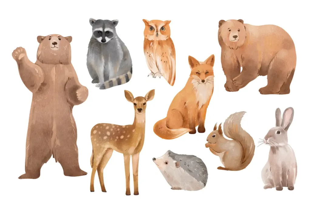 A collage of woodland animals