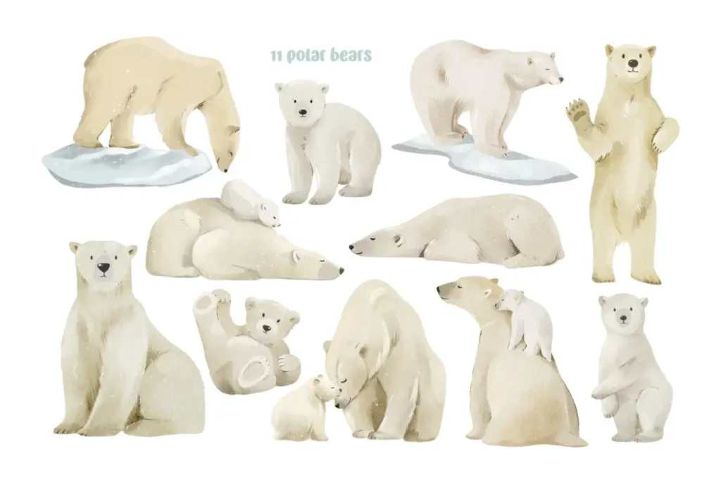 Eleven watercolor polar bears in various poses and interactions Watercolor Animals