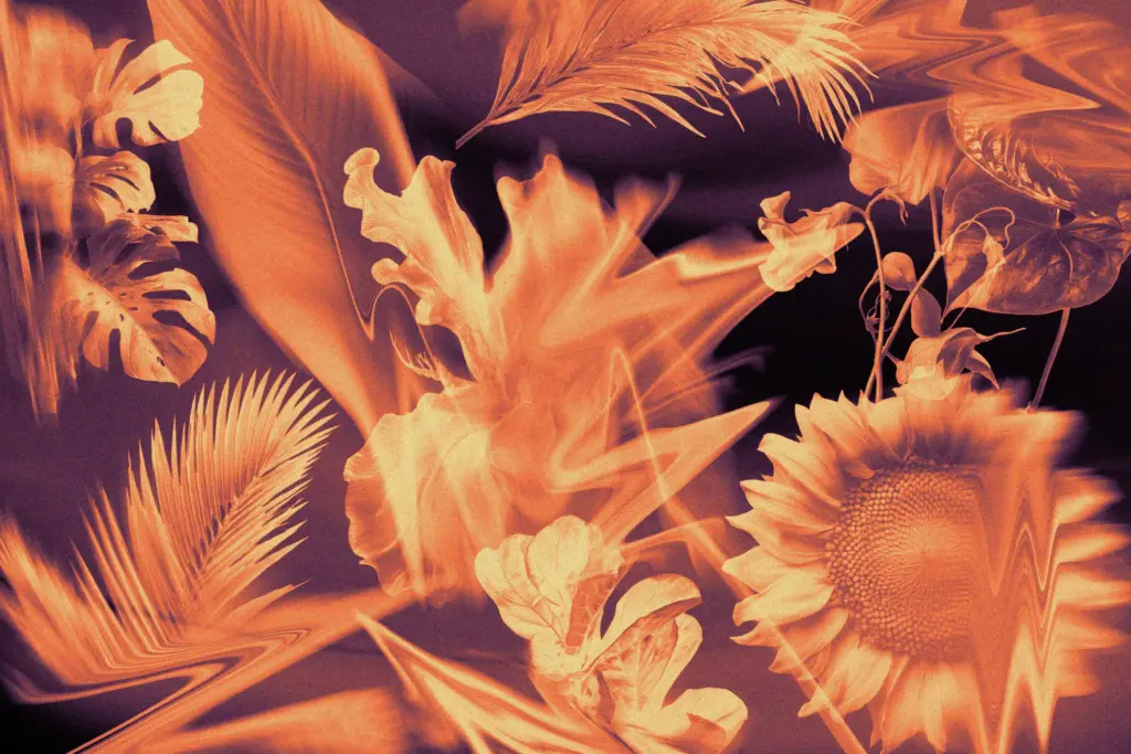 A vibrant composition of botanical elements like sunflowers, lilies, and palm leaves in orange hues with wave distortions Photoshop Design Assets