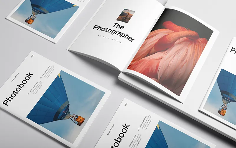 Photobook stack with open magazine showing flamingo feathers and landscape photography