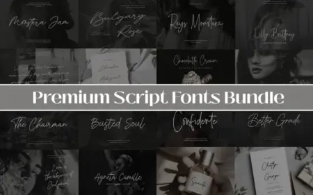 Premium Script Fonts Feature Image