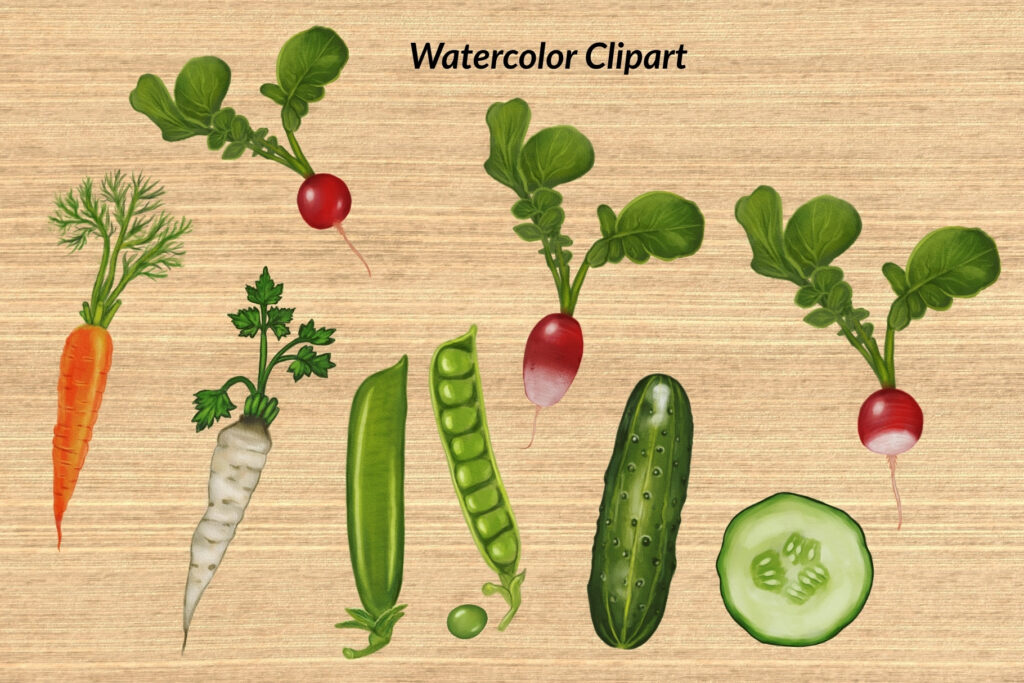 Watercolor vegetables like carrot, radish, and cucumber arranged on wood