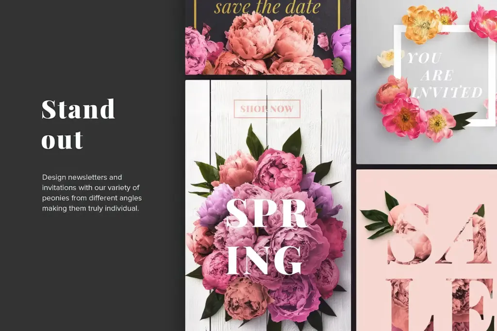 Collage showing design examples like invitations, newsletters, and a sale graphic, all featuring vibrant pink and purple peony bouquets.