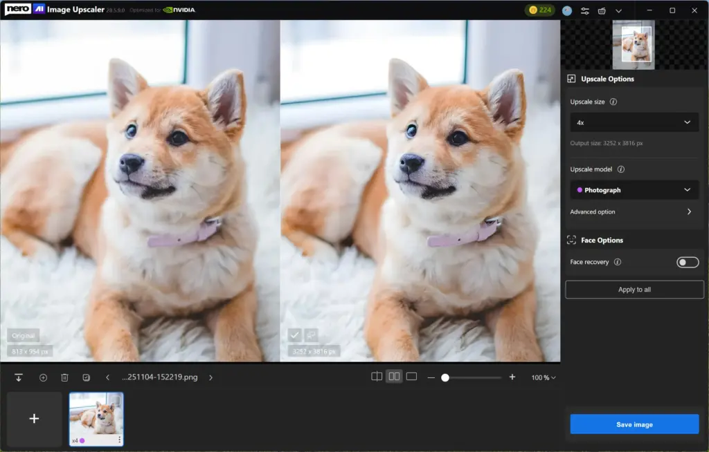 Dog Image Upscaling with Nero Image Upscaling Tool