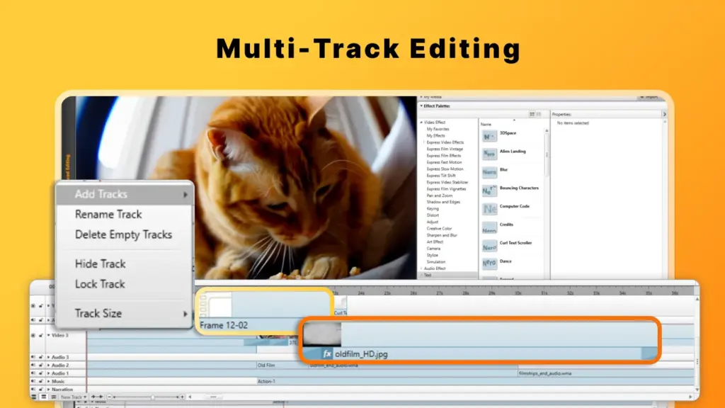 Multi Track Editing using Nero Video