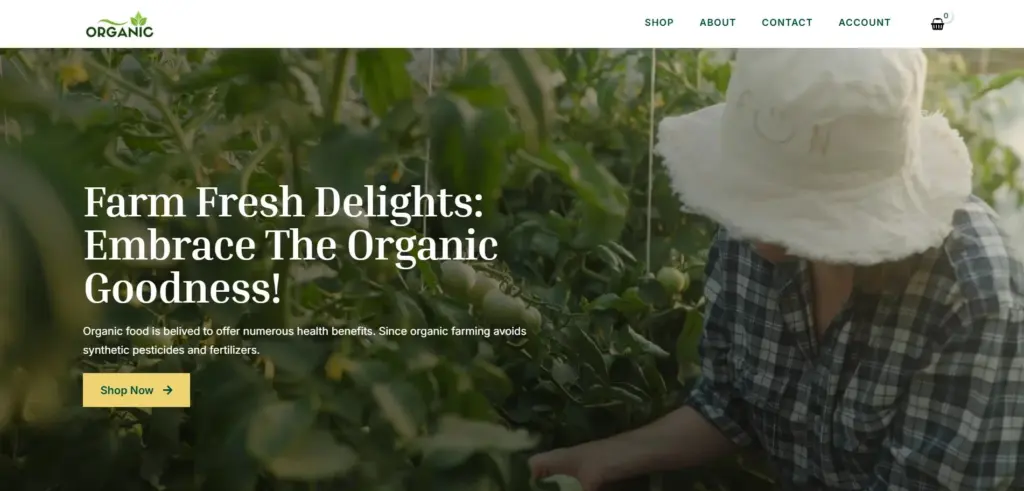 Organic-product-store-WordPress-website-template