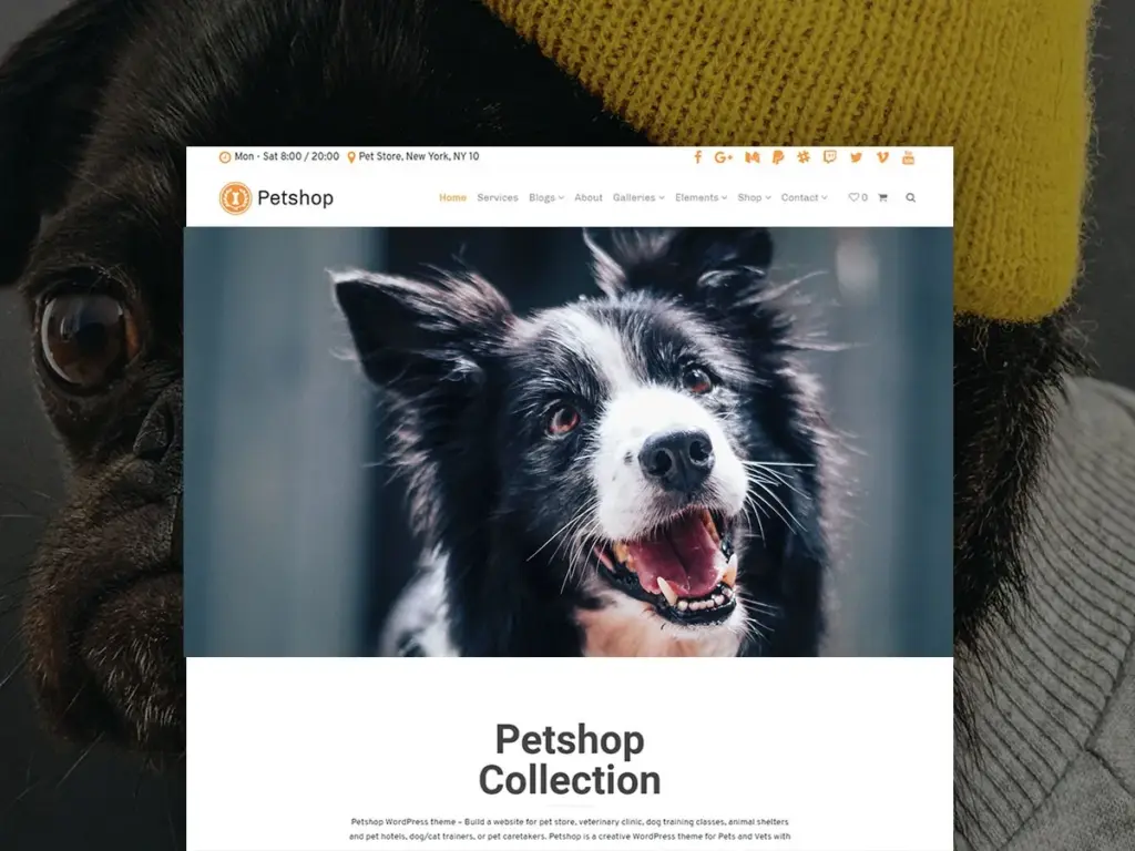 Petshop WordPress Theme Templates by Visualmodo
