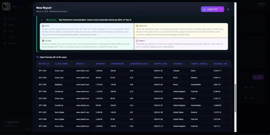 Preview of the data used to create a report in Magetrics AI Marketing Analytics & Client Reporting Tool